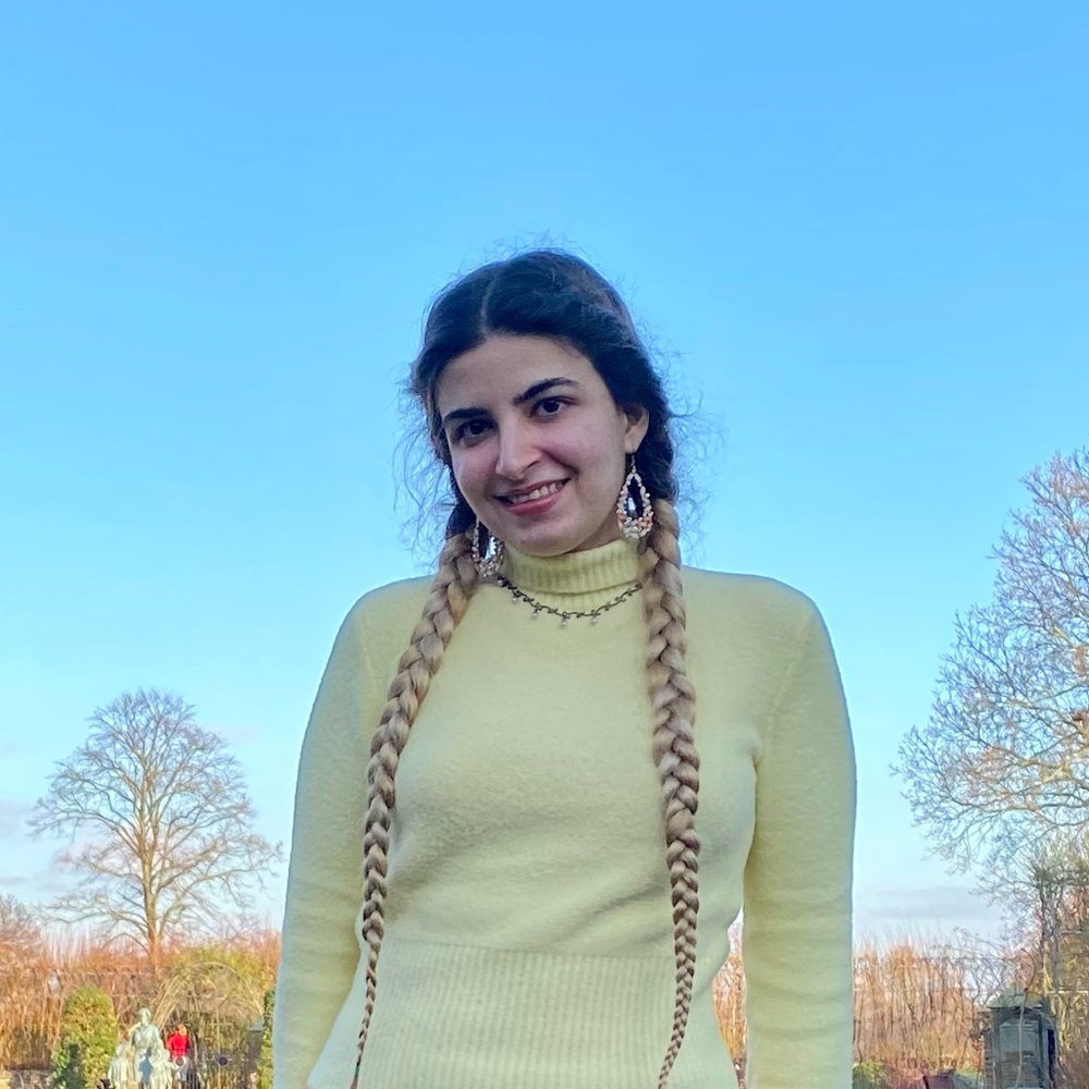 Meet your Posher, Dorsa